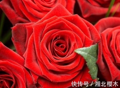 睡眠质量|11月,桃花祝福,误会解除,旧爱一如既往,真情未变的四大星座