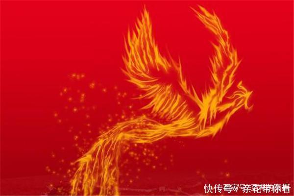 奥斯卡|《斗罗大陆》被忽视的4大武魂，成就让人意外，网友：真是想不到