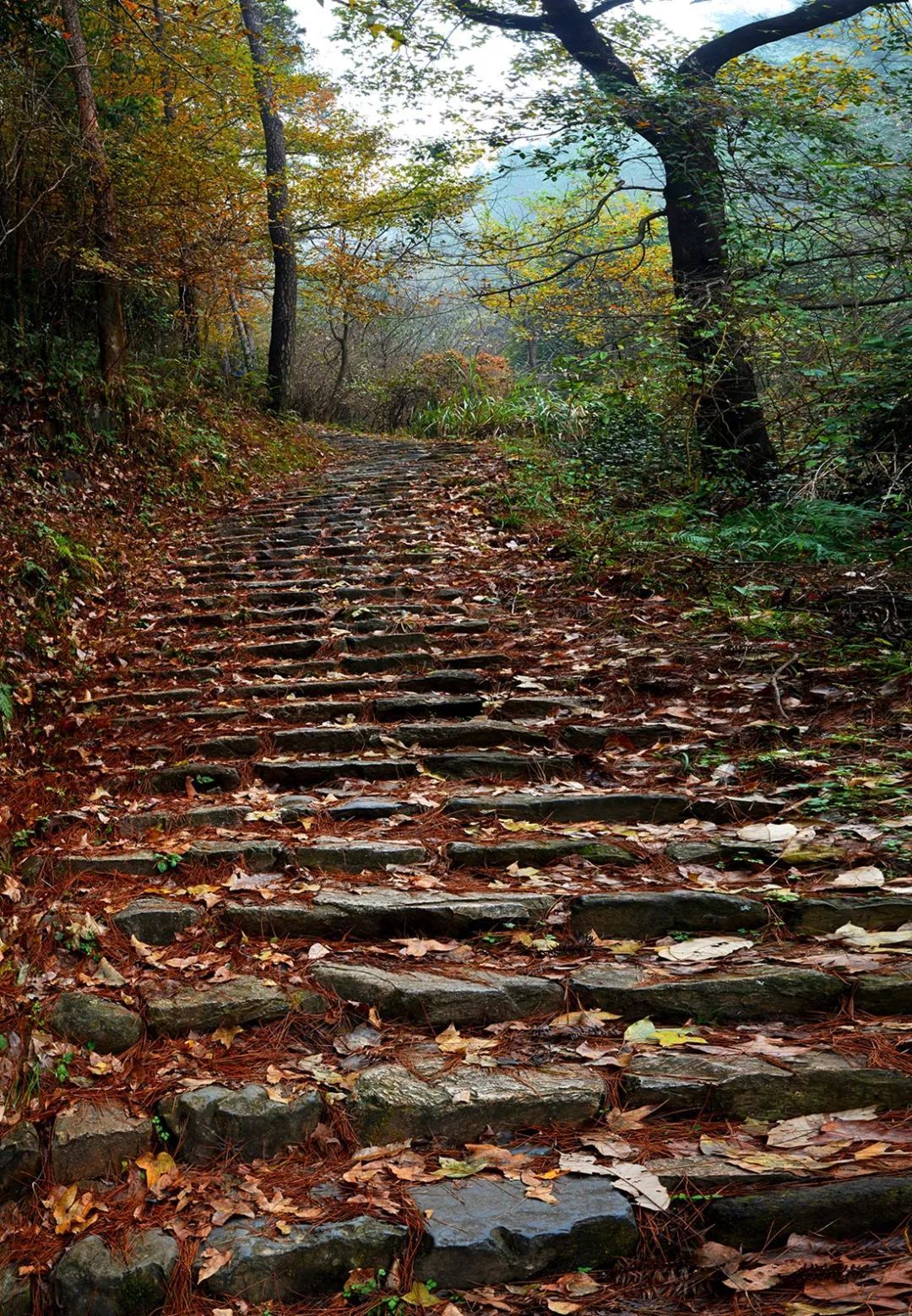 游天台山赋|天台金地岭——佛陇圣地, 这边风景独好!