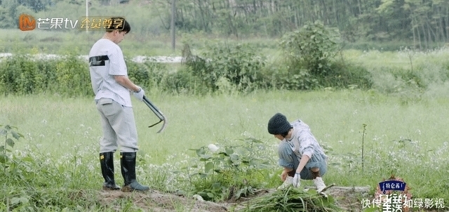 压力|彭昱畅有事缺席《向往5》录制，临走做两大贡献，张艺兴压力变小