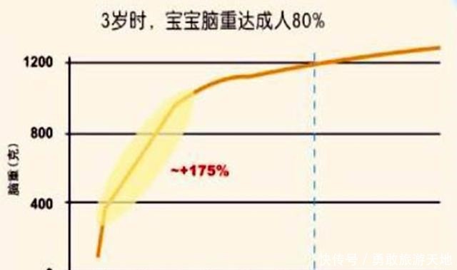 指出|哈佛研究指出孩子有三次大脑发育的高峰期，父母起码要抓住一次