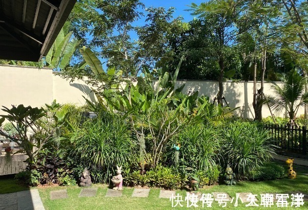 吉祥|庭院无树,无福无禄?有院子就种15种树,随便选一种,吉祥又好看