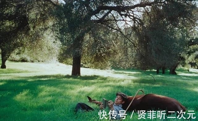凯特|看奥运不过瘾,来刷这8部经典的奥运电影