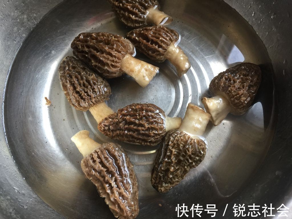 脂褐质|天热，吃肉不如吃此菜，虽然有点贵，但是对身体很好，鲜美又营养