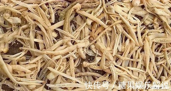 辣椒|它一年四季不贵，多买些晒一晒，密封一存，放2周再吃，太下饭了