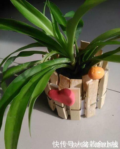 买的花盆又贵又难看？花花教你自制花盆，省钱又漂亮！