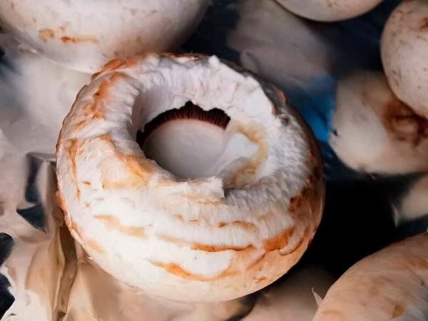 拳头大的口蘑，就应该这么吃，汤汁都是精华美味