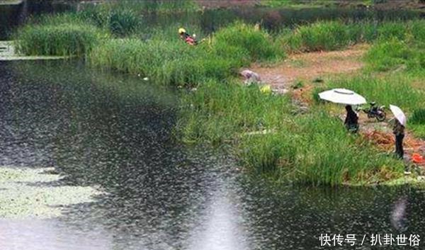 规律|清明过后钓鱼,注意这些变化规律,牢记4钓4不钓,上鱼更多!