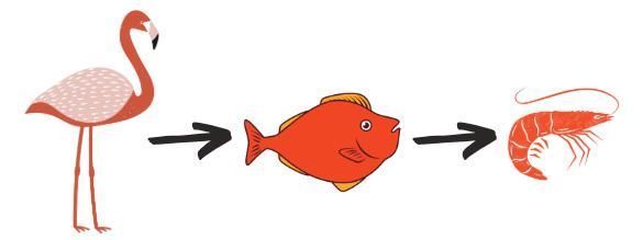 号称“地表最强抗氧化成分”?谁给它的勇气?