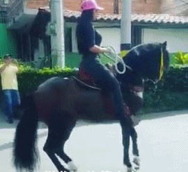 |搞笑GIF:花大价钱来看的表演 你们说我是不是被骗了