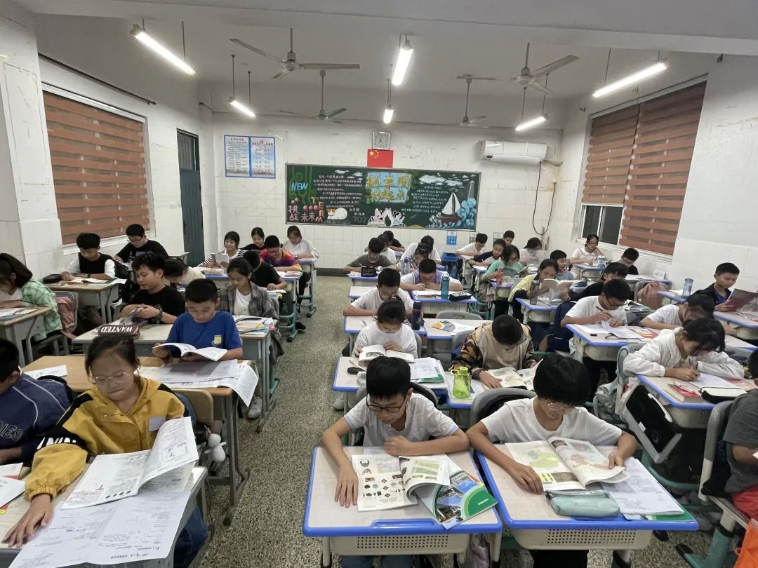 中小学|“双减”政策落地，看看桐乡中小学新变化→