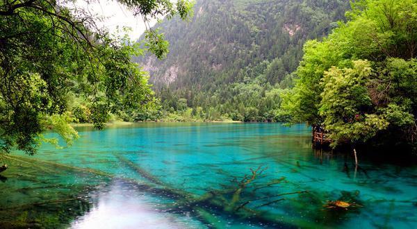 重新开放的九寨沟,还会是归来不看水,色即是秋,秋即是色吗