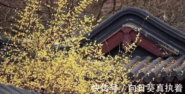 福报@比曾国藩《冰鉴》更大气, 千古奇书《心相篇》看透人性!