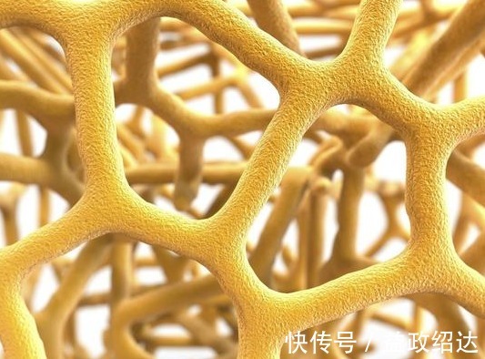 骨小梁|有骨质疏松别总只想着补钙,教你1个方法,不花钱还很简单