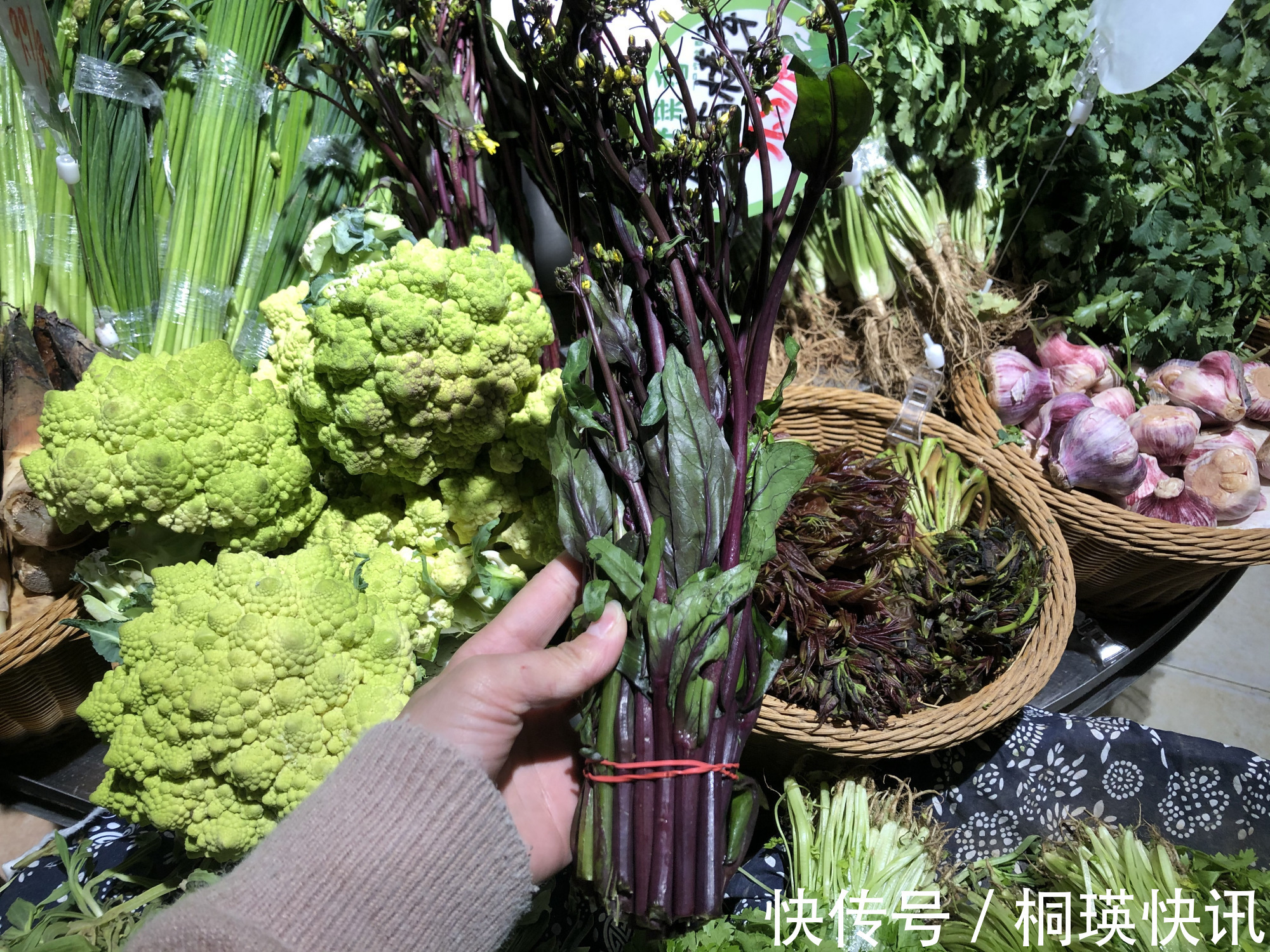 蒲公英|春天一道，这8样受欢迎的“养生菜”别错过，贵点也要尝尝鲜！