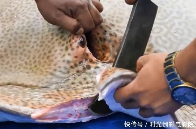 黄貂鱼|印度大户人家用黄貂鱼做美食，刚开始不以为然，成品看着流口水