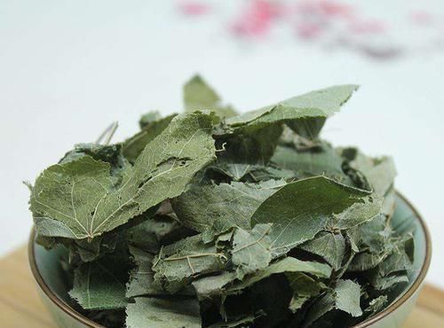 解决方案|肾阳虚、肾阴虚、肾气虚判断方法与解决方案都在这了