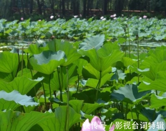 生肖鼠|未来3天，升迁发财，告别厄运，迎接财富，过上幸福生活