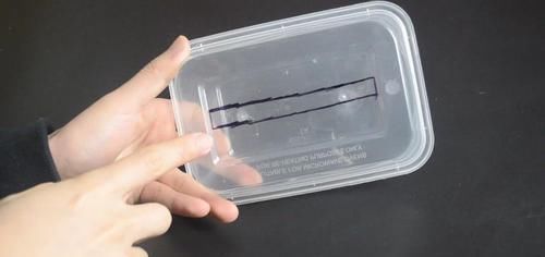 你家有废旧不用的打包盒吗 这个用途太厉害了, 早点知道就好了