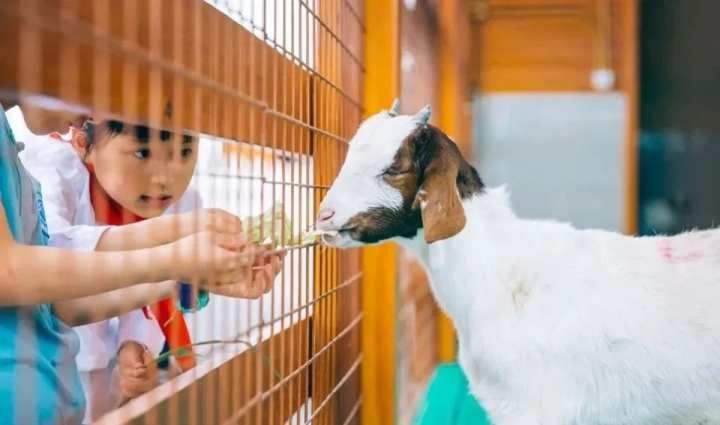 昆虫嘉年华|中秋收下这份欢乐秘笈 来钱唐农园玩转亲子昆虫嘉年华