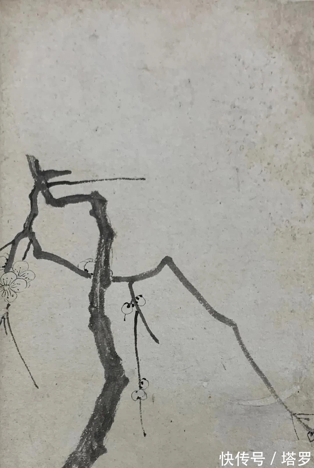 江画梅@他的山水画面貌来源于铁骨冰心的梅花|渐江画梅