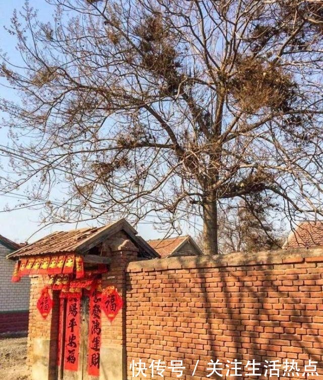 旧农舍改造成花园，一年四季花开不断，邻居看了羡慕的不得了！