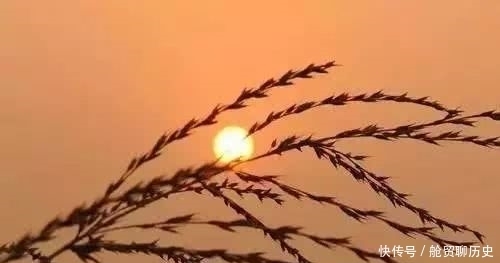 桃花|烟雨夜读 万树桃花月满天