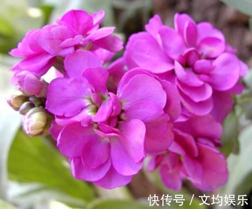 小善举|出生在这三大农历月份的人,心地善良佛缘深厚,一生注定能富贵