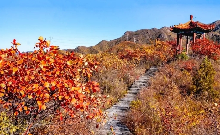 登山步道|北京昌平，人少景美的高山村落，完善的登山步道，只为赏秋而来