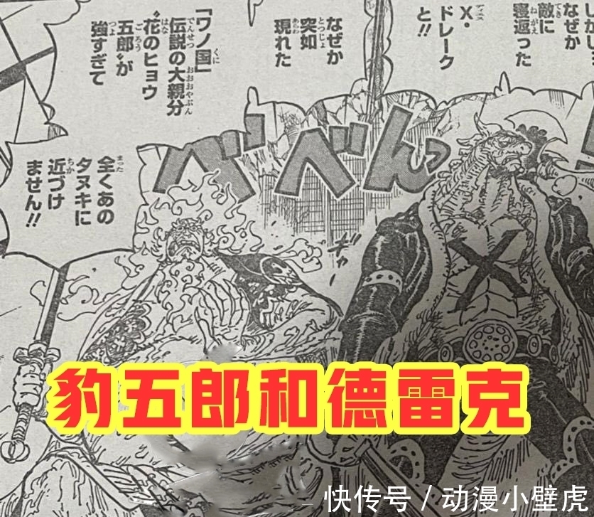 兔子|海贼王1006话:小马哥被烬斩落翅膀,豹五郎释放“生命归还”