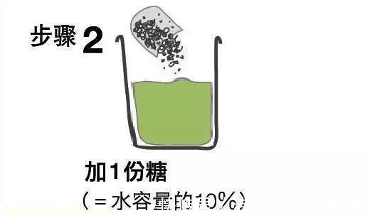 高手在民间,每月1勺糖,文竹开出“满天星”,四季绿意盎然!