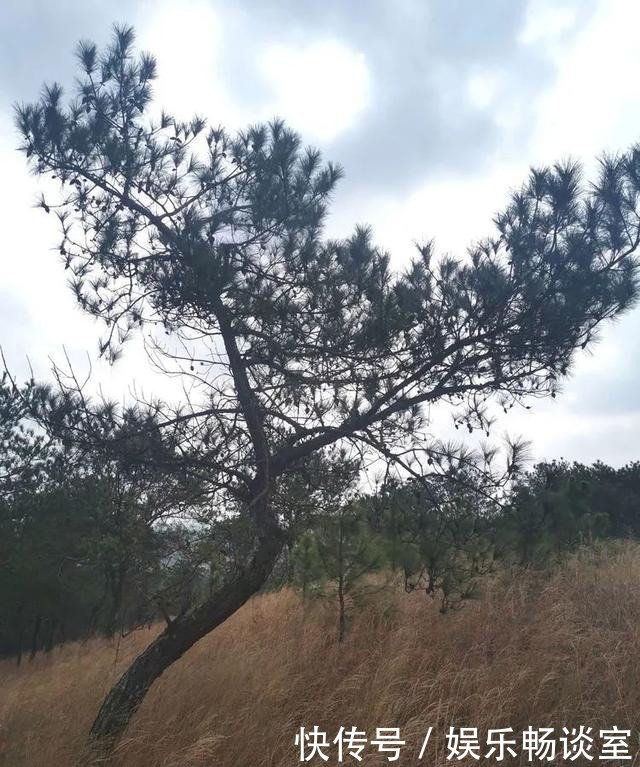 故乡山，家乡情