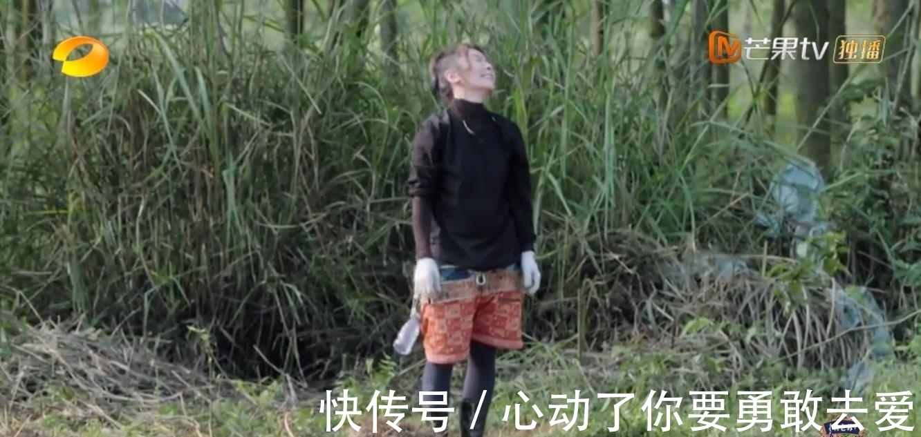 向往的生活5|《向往的生活5》集體勞動種樹，黃雅莉成功出圈，張藝興廣受好評