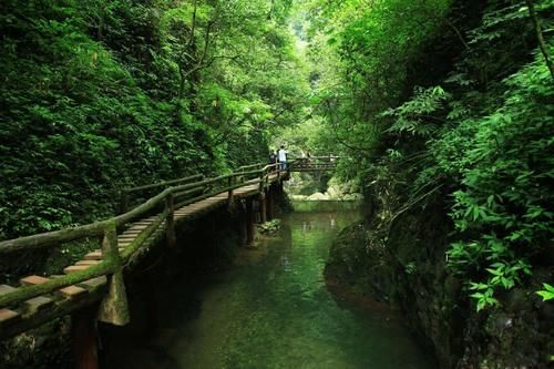 四川的这处景点很适合带父母前去，即可烧香礼佛，还很养生