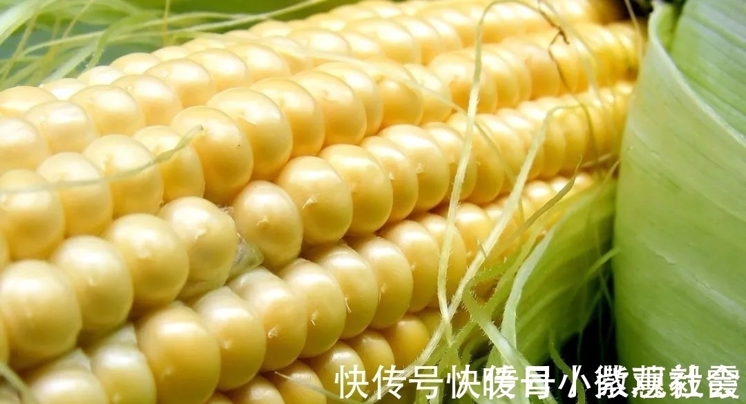 老坛玉米钓青鱼草鱼,这样的挂钩方式,不挡口容易中鱼还能钓翘嘴