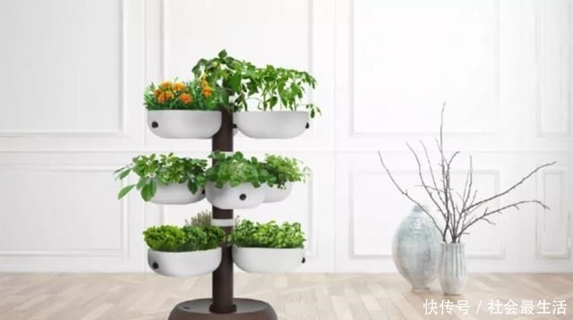 外国人发明的“室内小菜园”,一年四季长爆盆,太神奇了……!