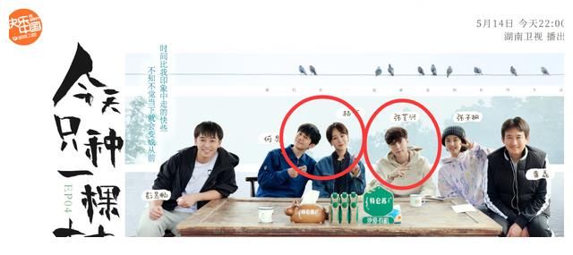 向往的生活|緋聞男女何去何從？張藝興對楊紫稱呼三次轉(zhuǎn)變，觀眾嗑糖嗑瘋了！2