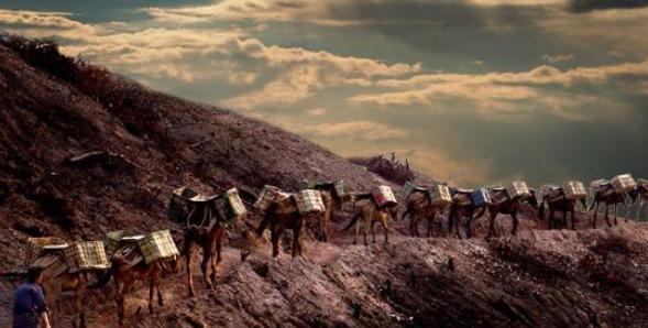 全力|小富翁指使家人杀害表哥,跑路后创商业帝国,中国危难时全力援助