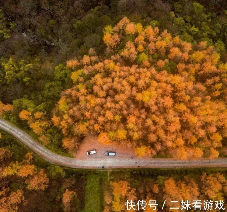 秘境|秦岭山野深处，误入雷阿诺的油画秘境