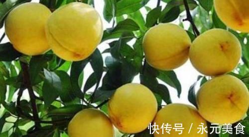 毒素|女人想要身体好,常吃以下食物,排出毒素,净化血液,安神助眠