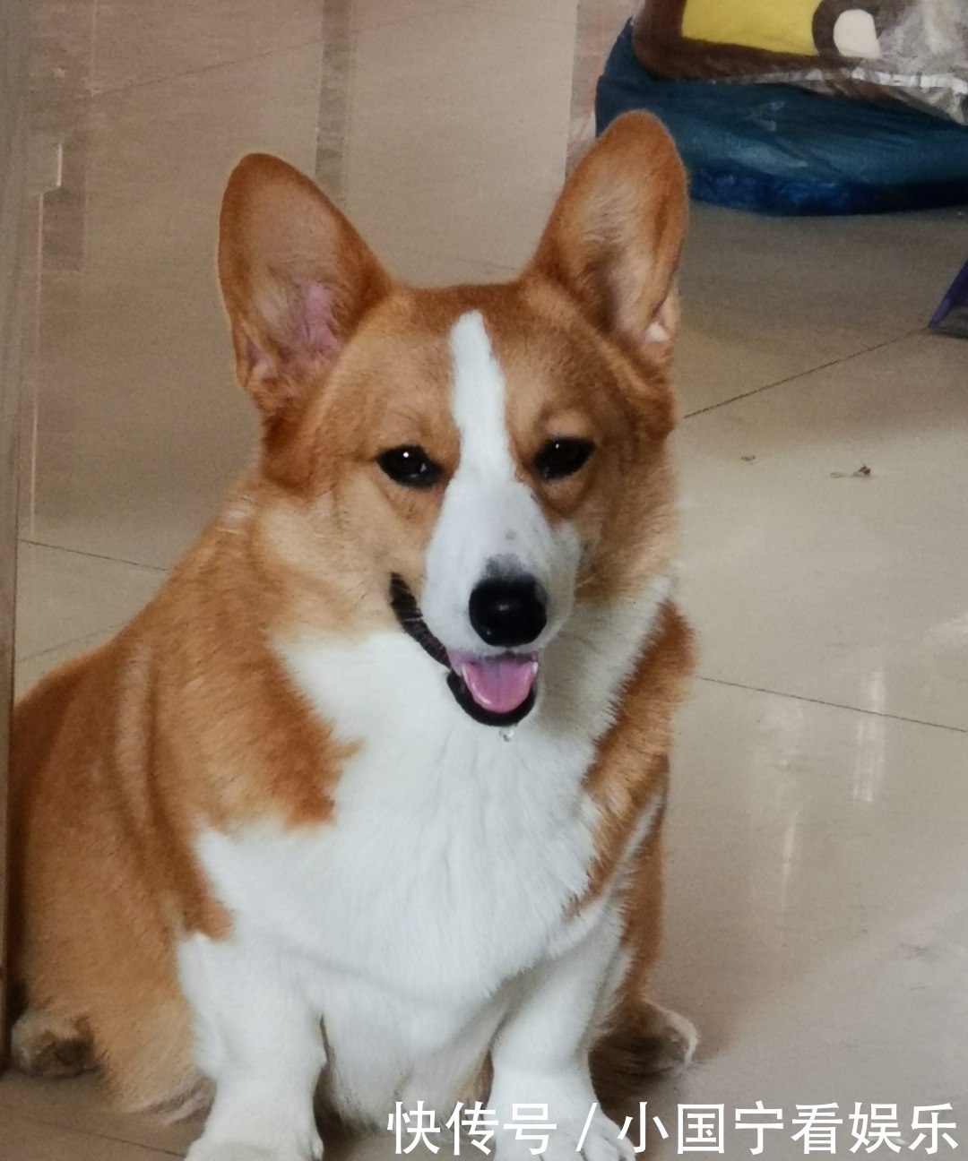 古代人大口吃肉大碗喝酒都是骗人的,其实老百姓吃肉都很困难!