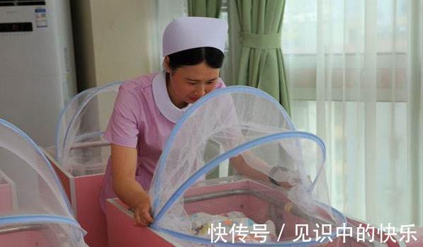 认知能力|萌娃电梯遇到女孩牵着狗,“礼貌性”的问答引热评