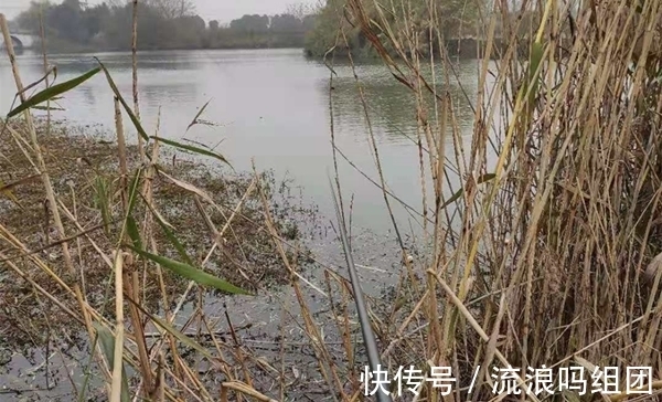 寒冬时节钓鲫鱼,常用这些钓法,钓到鲫鱼个头更大!