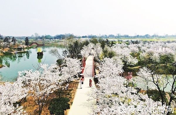 京山|道源寿乡 富美荆门：花海、烟村与一座运动休闲之城