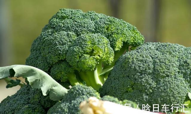 西兰花根|西兰花最防癌吃法,原来我们错了这么多……营养全都浪费了