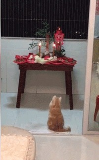 |搞笑GIF段子:时光流转到现在事实证明,不要轻易借给别人钱