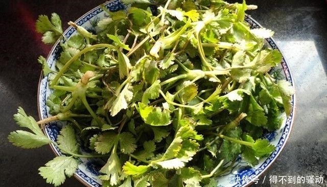 简单|饺子馅这样调别提有多赞,天天吃都不腻,简单易学! 附教程