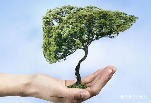 老刘|行医30年,一位老中医的感叹我靠这“三板斧”,打出了一片天