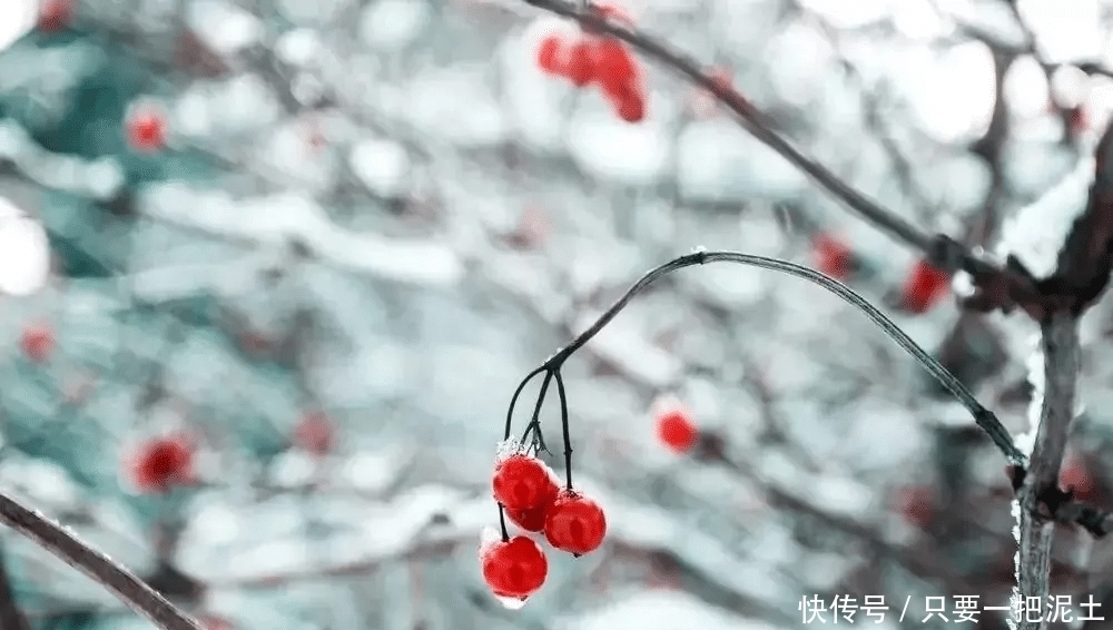 远离“养不熟”的人,距离是对自身的保护!