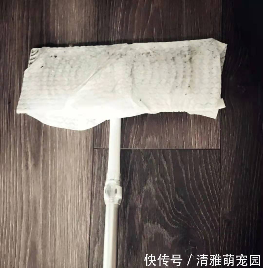 纸巾盒|装修前后做了12个小决定,别怨花钱,入住后家务少一半